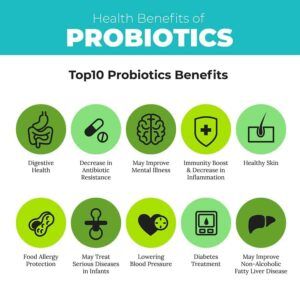 Exploring the Health Benefits of Probiotics
