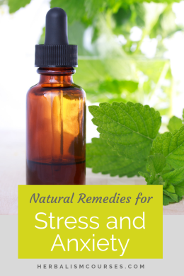 Top 10 Natural Remedies for Anxiety and Stress